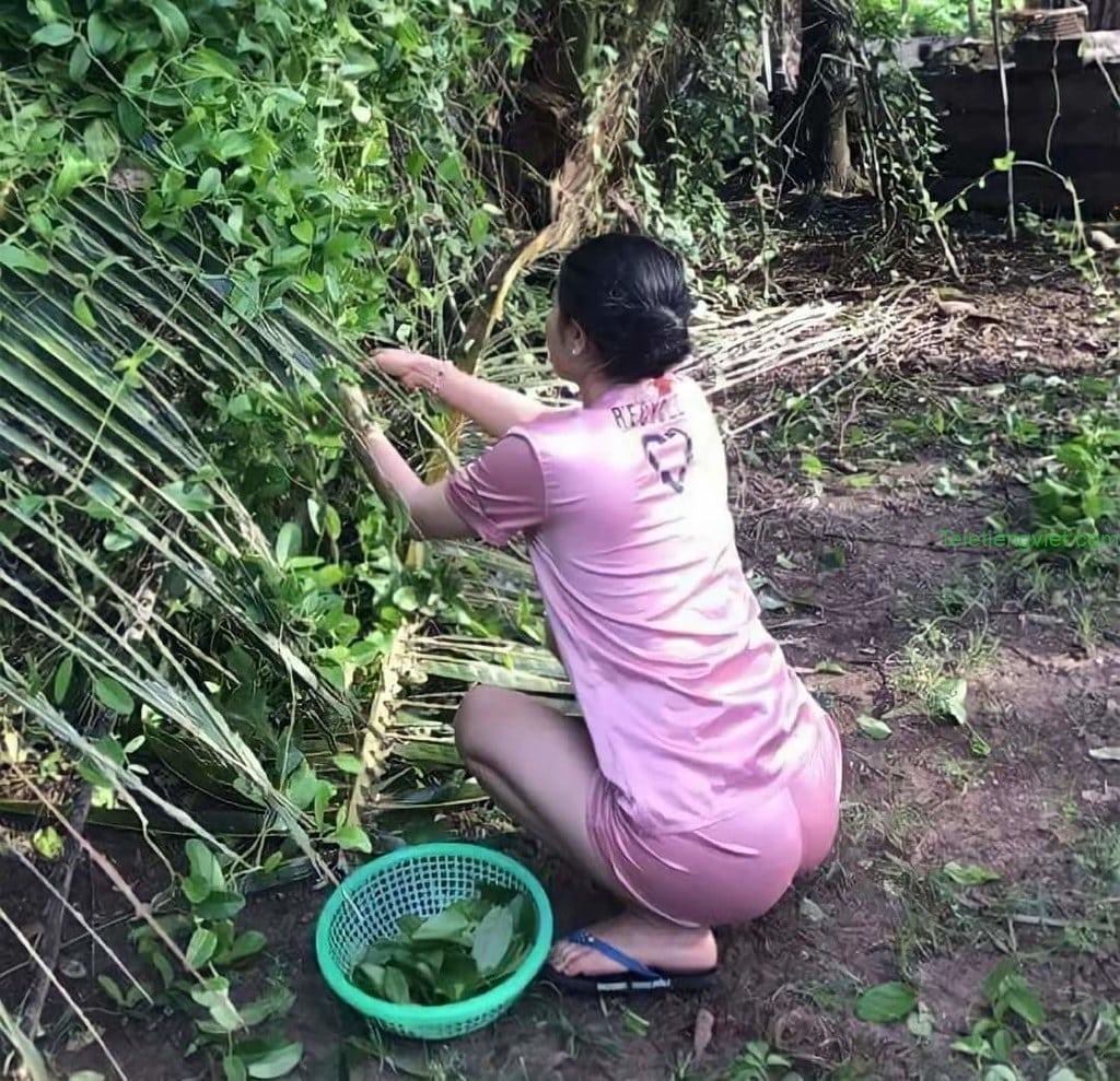 Tổng hợp Ảnh chụp lén nhẹ nhàng mà sâu sắc